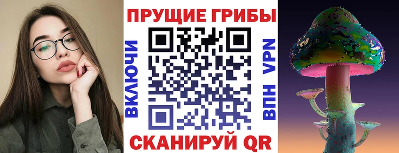 Купить где  Кораблино  Псилоцибиновые грибы прущие грибы 